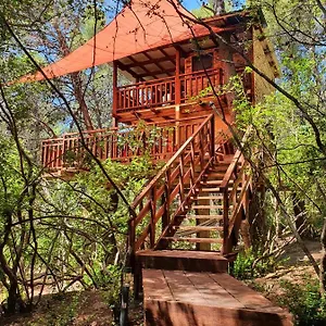 treehouses-ljubac-glamping.hotelinzadar.com/